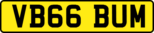 VB66BUM