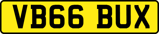 VB66BUX