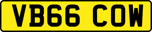 VB66COW