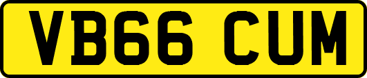 VB66CUM