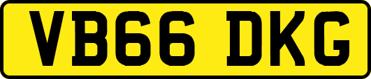 VB66DKG