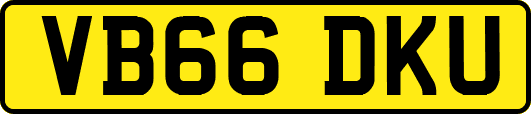 VB66DKU