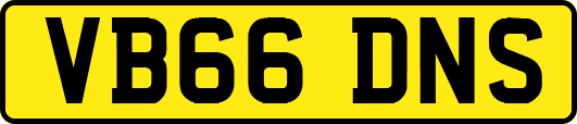 VB66DNS