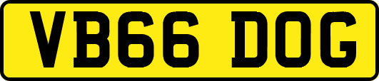 VB66DOG