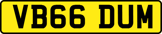 VB66DUM