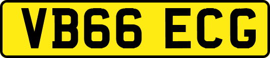 VB66ECG