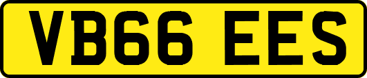 VB66EES