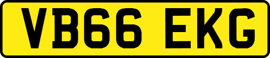 VB66EKG