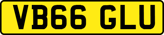 VB66GLU
