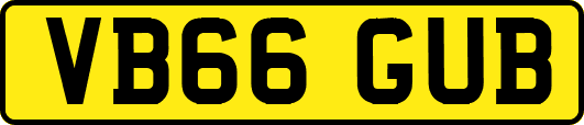 VB66GUB