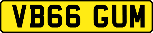 VB66GUM