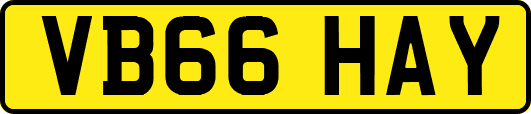 VB66HAY