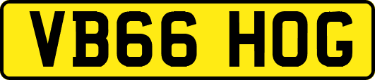 VB66HOG
