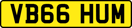 VB66HUM
