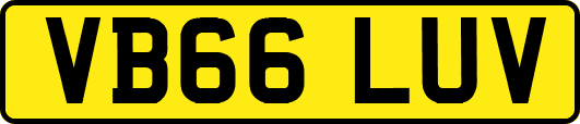 VB66LUV