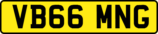VB66MNG