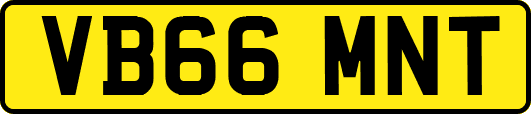 VB66MNT