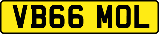 VB66MOL