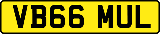 VB66MUL