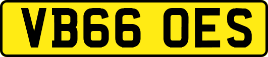 VB66OES