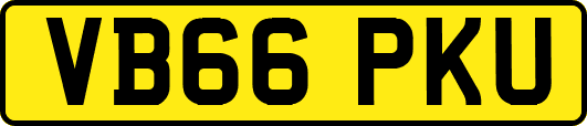 VB66PKU
