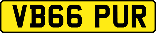 VB66PUR