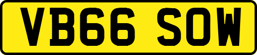 VB66SOW