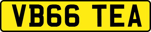 VB66TEA