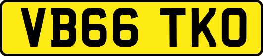 VB66TKO