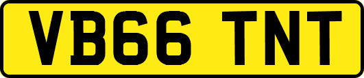 VB66TNT