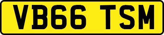 VB66TSM