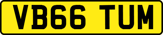 VB66TUM