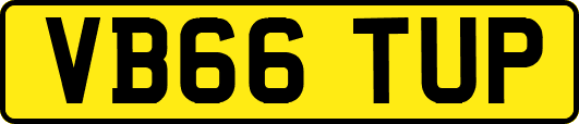 VB66TUP