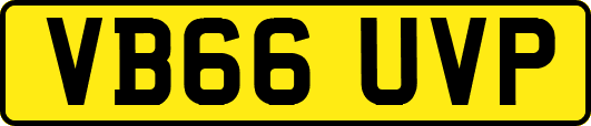 VB66UVP
