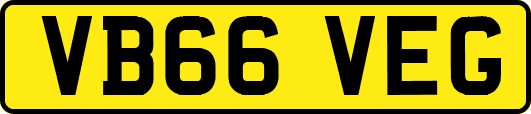 VB66VEG