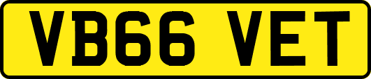 VB66VET