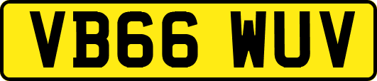 VB66WUV