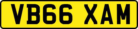 VB66XAM