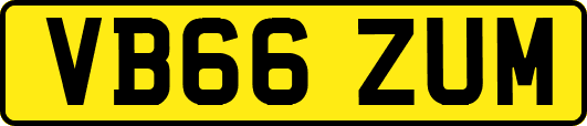 VB66ZUM