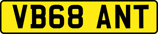 VB68ANT