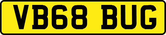 VB68BUG