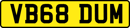VB68DUM