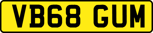 VB68GUM