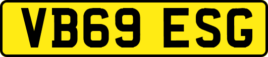 VB69ESG