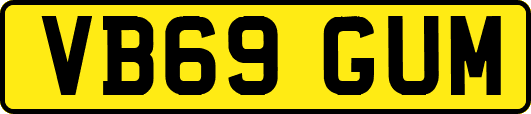 VB69GUM