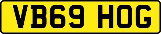 VB69HOG