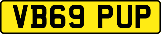VB69PUP