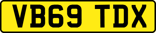 VB69TDX