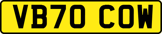 VB70COW