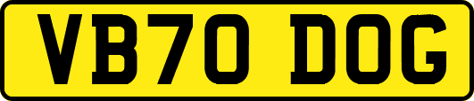 VB70DOG